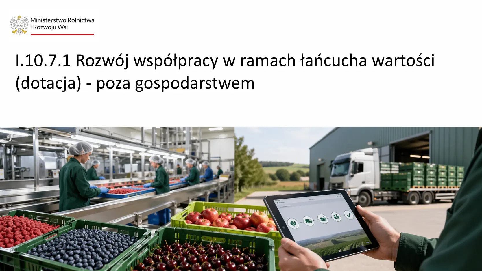 Dotacja do 10 mln zł na przetwórstwo owoców i warzyw — interwencja I.10.7.1 PS WPR 2023–2027